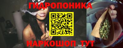 шишки Пенза