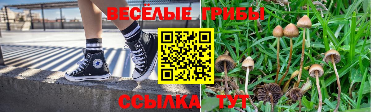 Псилоцибиновые грибы Cubensis  Псилоцибиновые грибы мицелий  Таганрог  Вход с VPN 